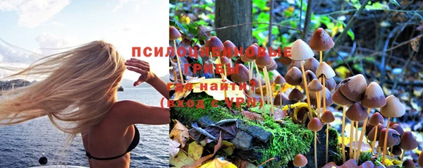 бошки Магас
